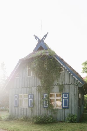 Scenic country house covered with ivy