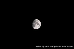 Moon on clear dark sky 43o6X4