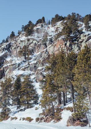 Picturesque view of mountains with forest in snow