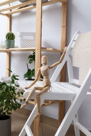 Cozy hobby - growing indoor plants at home