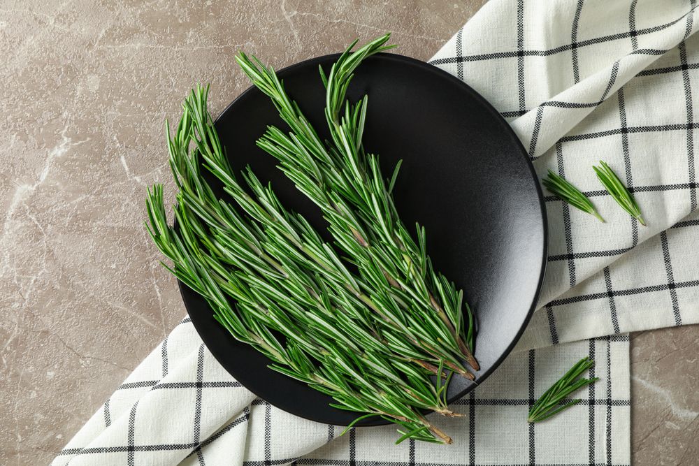 Plate with rosemary and towel on grey table, top view