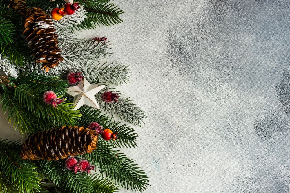 Christmas branch, pine cones, ornaments and holly on grey background