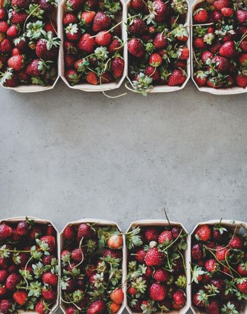 Strawberries in eco-friendly plastic-free boxes, in rows, on concrete background, copy space