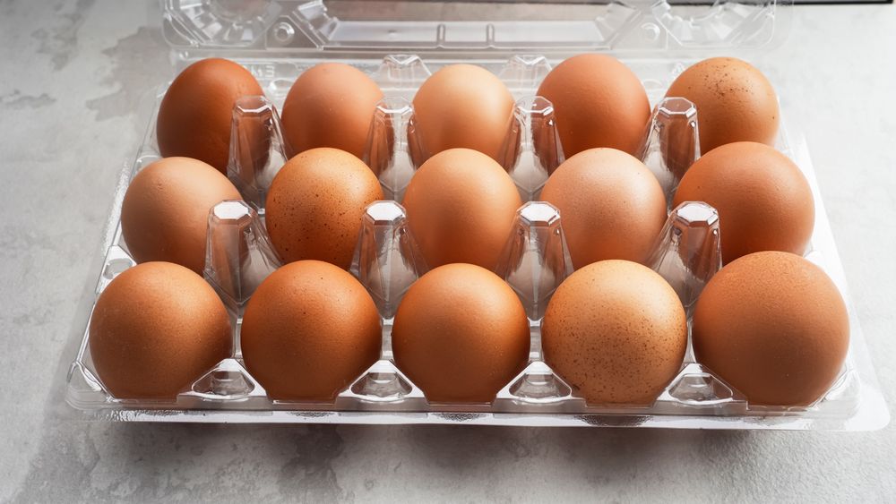 Organic chicken eggs in plastic packaging