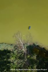 Aerial view of small boat and woman swimming in lake next to trees 41opL0