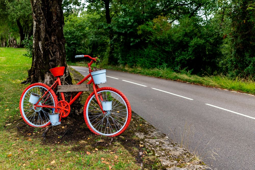 Red bike by tree along roadway in forest