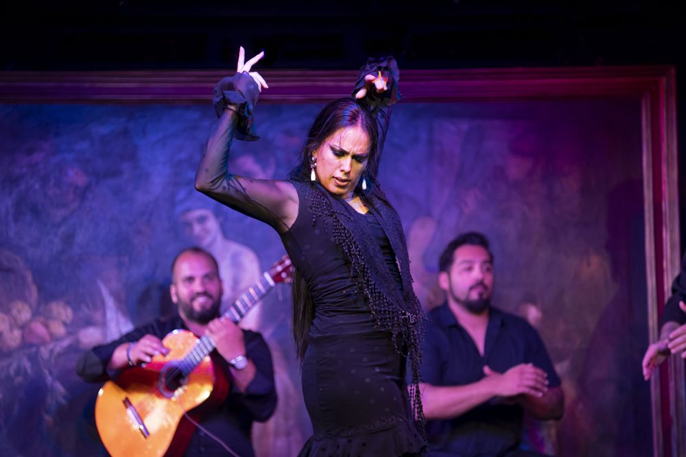 Flamenco performance on stage