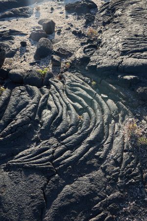 Texture of rough stone