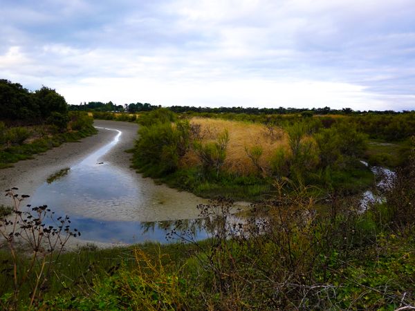 Marshland of the countryside on the path to Ars