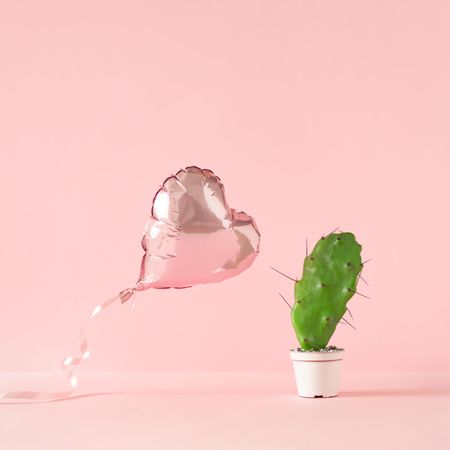 Heart shaped foil balloon with cactus plant and pink background