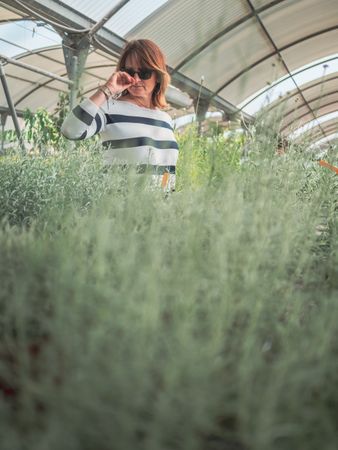 Thoughtful female choosing flowers on market
