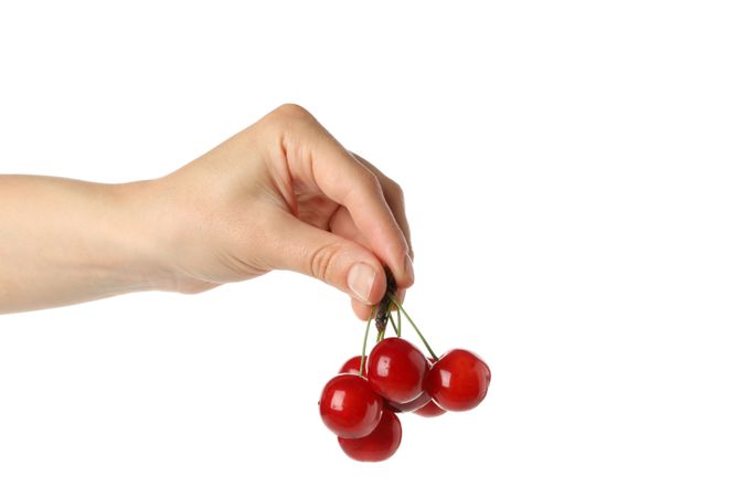 Fresh red cherry isolated on studio background
