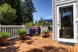 Patio backyard with seasonal garden