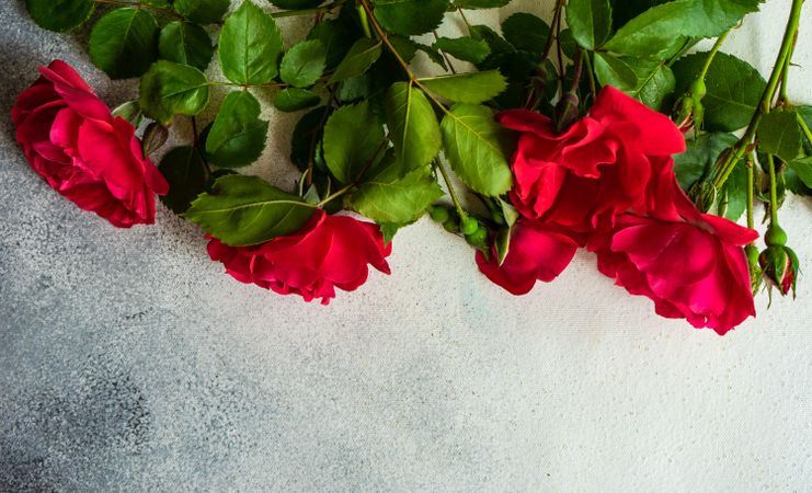Red roses on top of marble counter with copy space