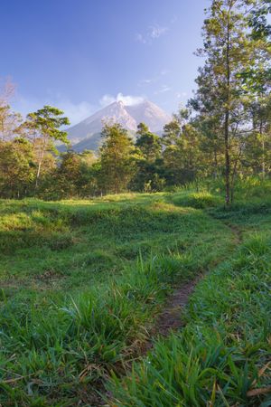 Autumn in the merapi mountains with bunch of green garden