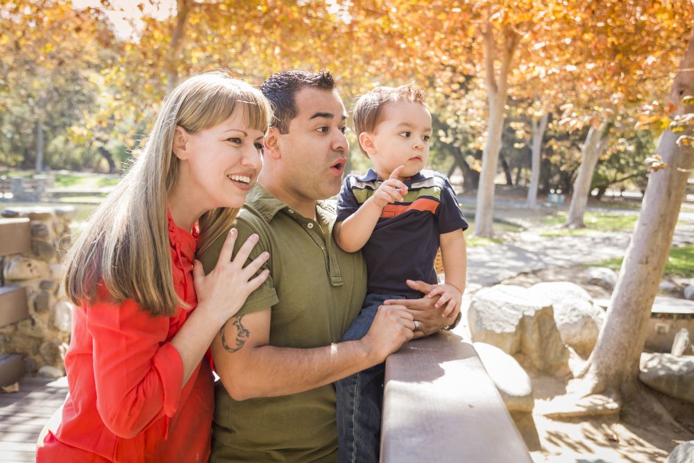 Family Enjoy a Sunny Day at The Park