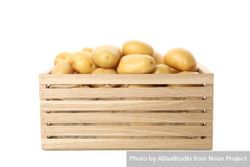 Basket of whole potatoes recently farmed 5lY664