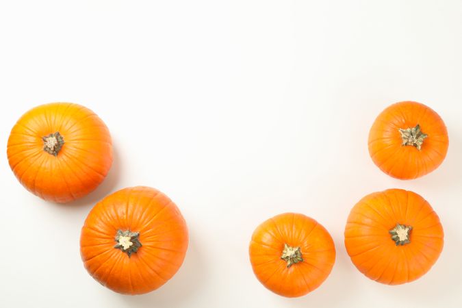 Pumpkins on blank background, top view and space for text