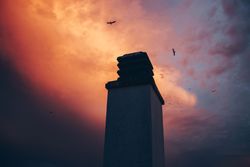 High tower and birds flying in pink sky