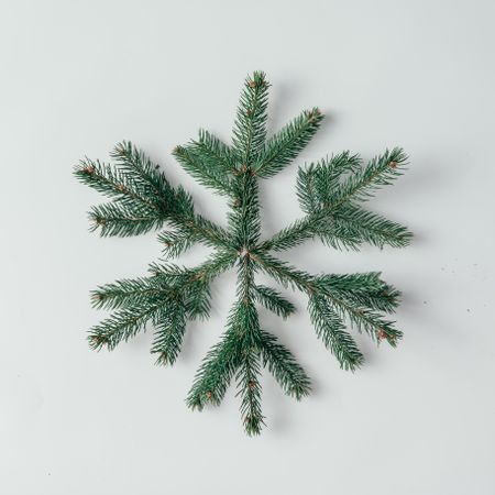 Snowflake made of green Christmas tree branches