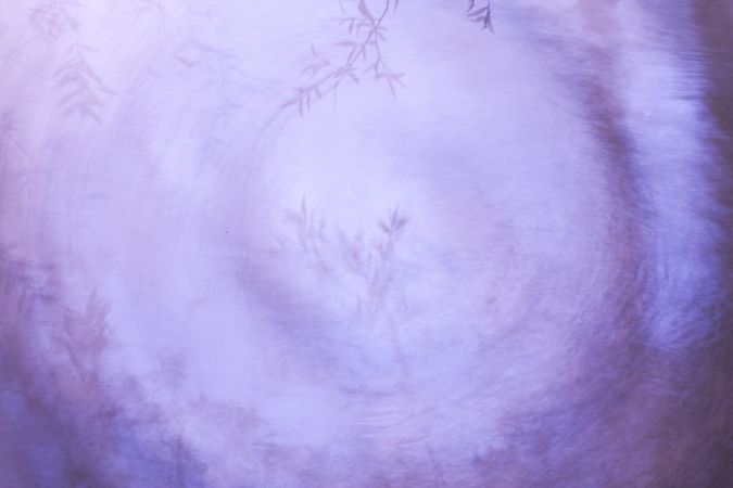 Typha plant in purple light spiral