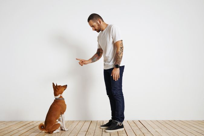 Casual, tattooed man wagging finger at dog