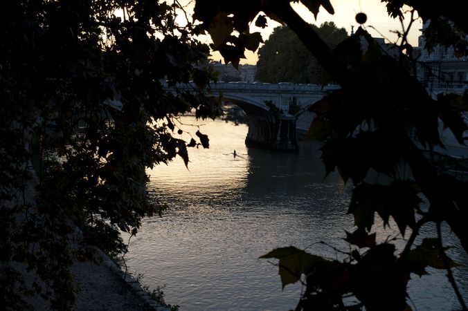 Tree leaves in front of beautiful bridge in evening