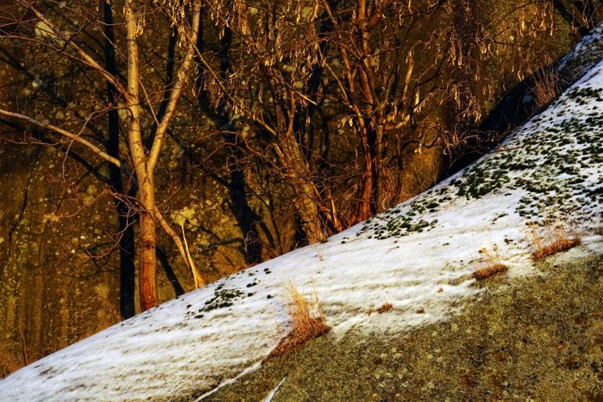 Rocky peaceful shore with snow crust in sunrays
