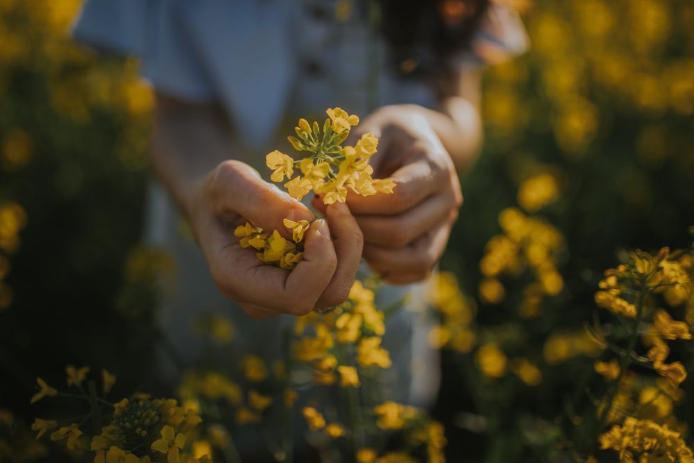 Crop woman with flowers in field