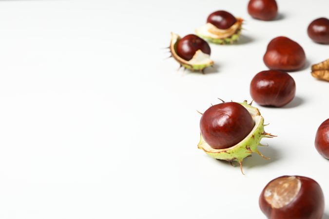 Fresh and ripe chestnuts, space for text