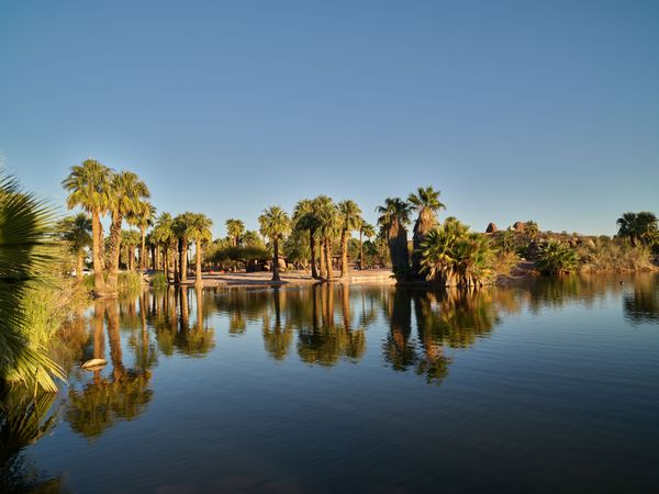 Palm trees lining calm lake in Papago Park in Phoenix
