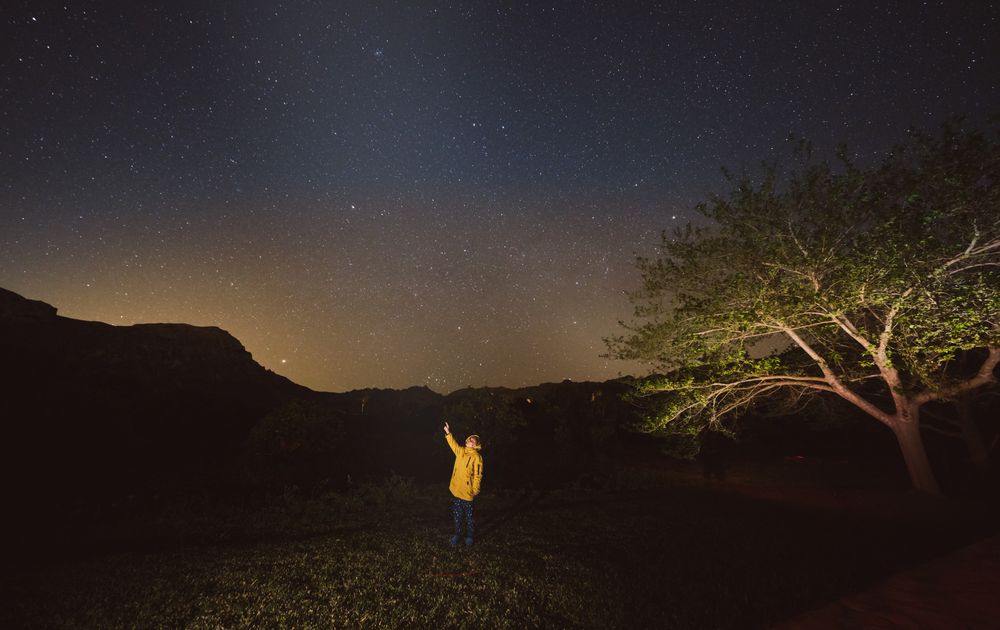 Boy enjoying starry night on grass