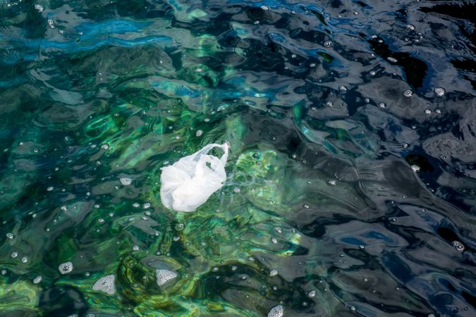 Plastic bag floating on water