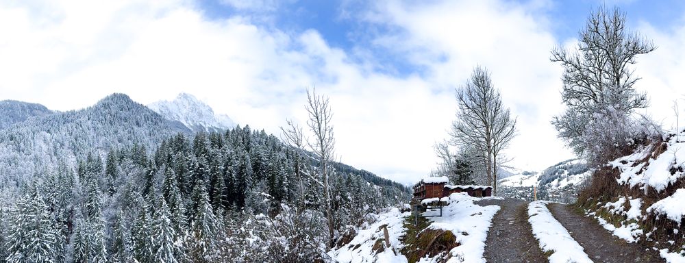 Bee hives in the snow before the Videmanette