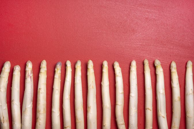 Raw asparagus aligned in a row on a red background