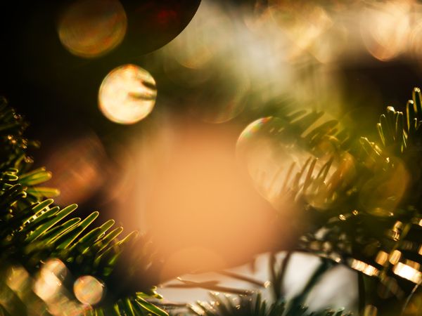 Christmas tree balls. Beautiful bokeh. Festive mood.