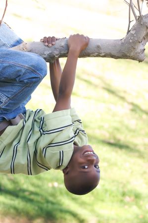 Young Boy Hanging Off Tree