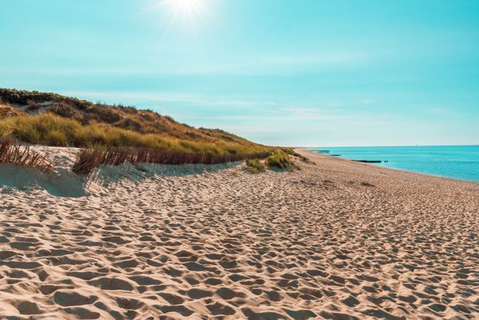 Landscape in the North Sea on Sylt island with the marram grass dunes