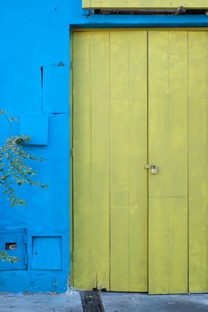 Caribbean door