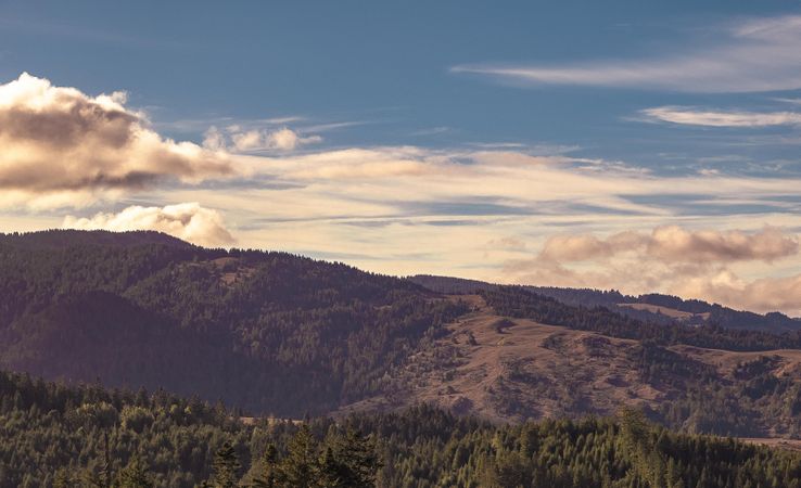 Beautiful view over trees in the Northern Californian mountains