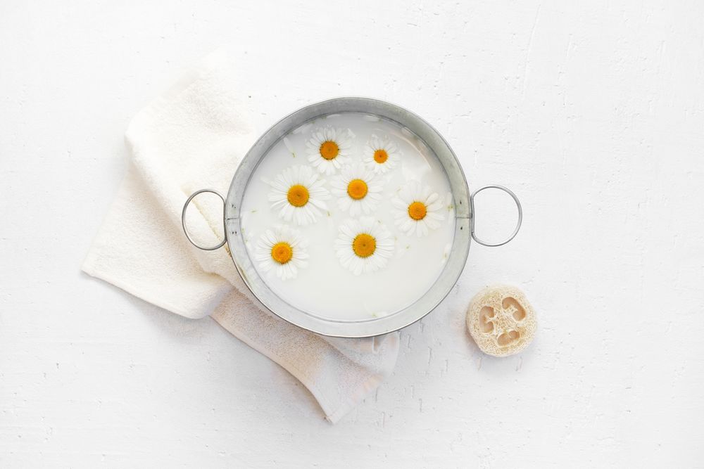 Top view of chamomile milk for at-home spa treatment