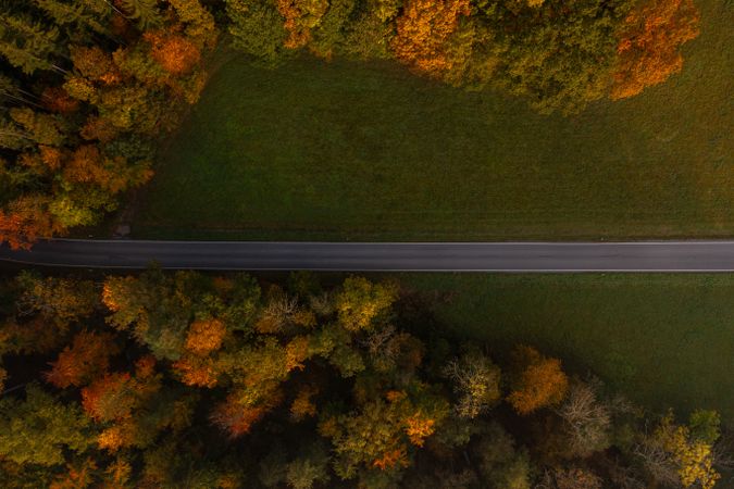 Single-lane road going through an autumn forest at sunrise, drone aerial view, directly above