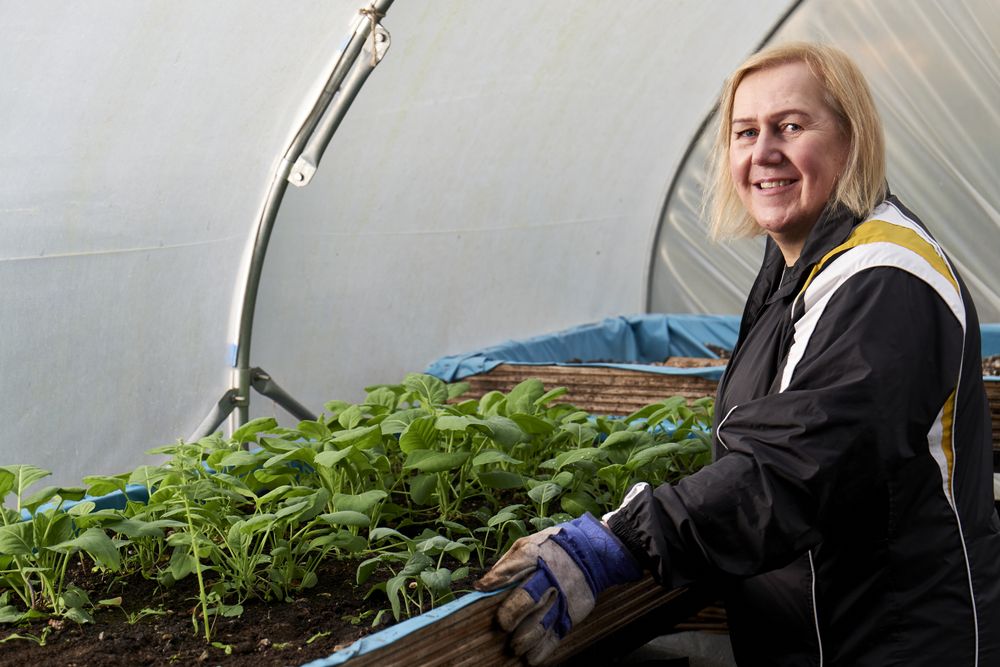 Older woman with plants in greenhouse