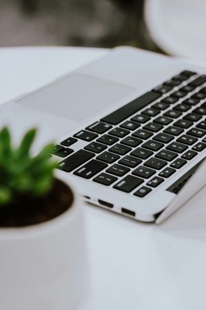 Minimalist Laptop and Succulent on Desk