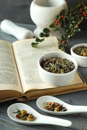 Concept of different professional books - medicine books