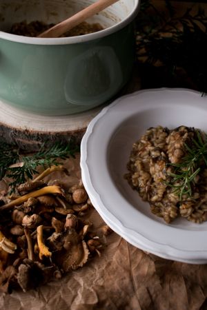 Rosemary on risotto with rabbit and mushrooms