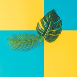 Tropical and palm leaves on cyan and yellow background