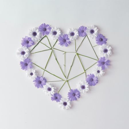 Heart shape made of violet and  daisies