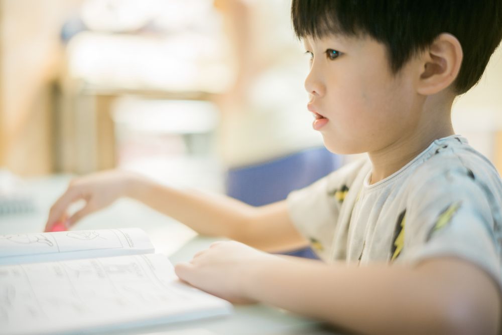 Boy opening a book