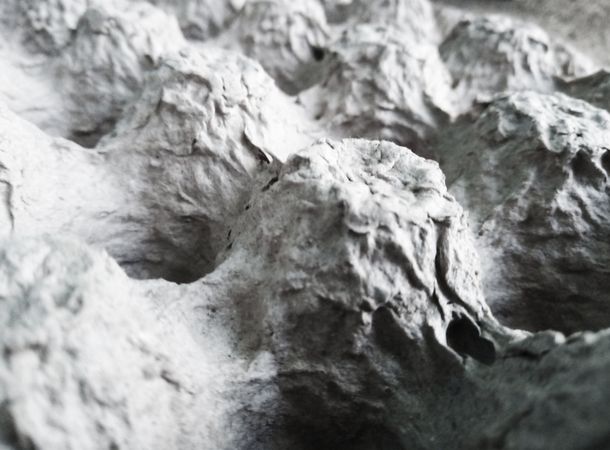 Egg carton image